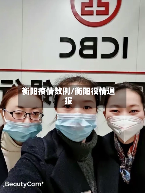 衡阳疫情数例/衡阳役情通报