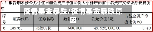 疫情基金暴跌/疫情基金暴跌原因