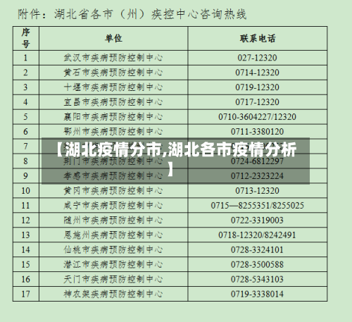 【湖北疫情分市,湖北各市疫情分析】