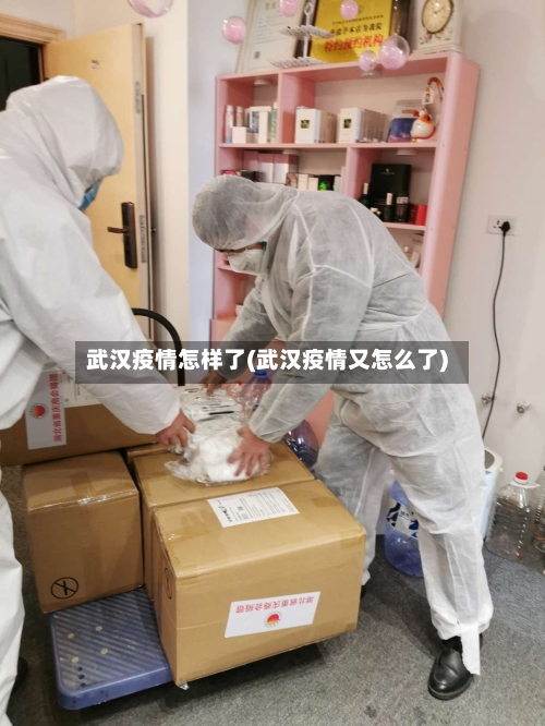 武汉疫情怎样了(武汉疫情又怎么了)