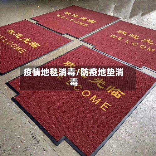 疫情地毯消毒/防疫地垫消毒