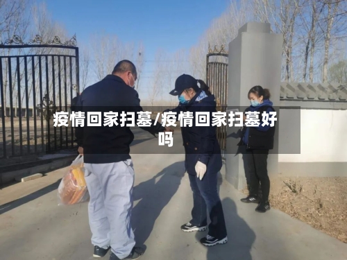 疫情回家扫墓/疫情回家扫墓好吗