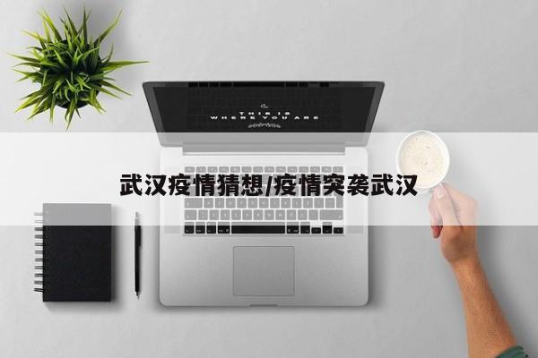 武汉疫情猜想/疫情突袭武汉