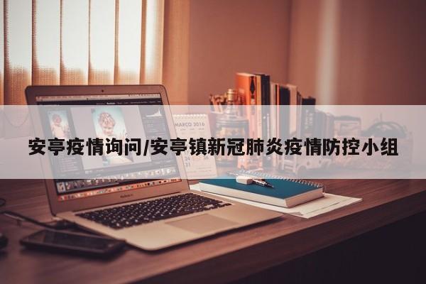 安亭疫情询问/安亭镇新冠肺炎疫情防控小组